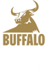 B-POWER PROTEIN